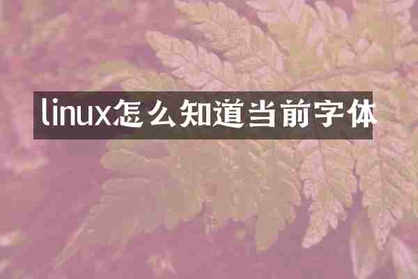 linux怎么知道当前字体