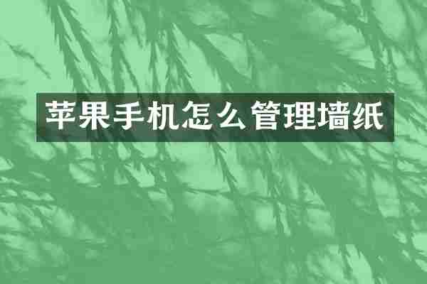 苹果手机怎么管理墙纸