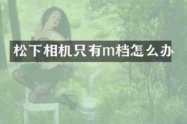 松下相机只有m档怎么办
