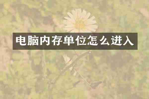 电脑内存单位怎么进入