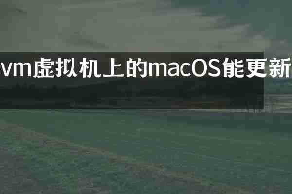 vm虚拟机上的macOS能更新吗