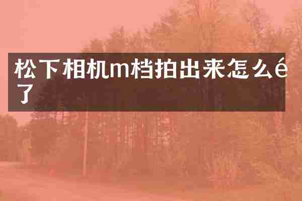 松下相机m档拍出来怎么黑了