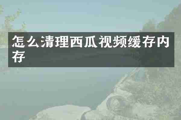 怎么清理西瓜视频缓存内存
