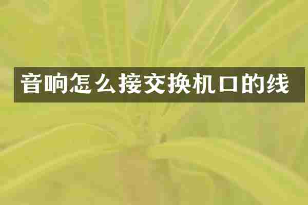 音响怎么接交换机口的线