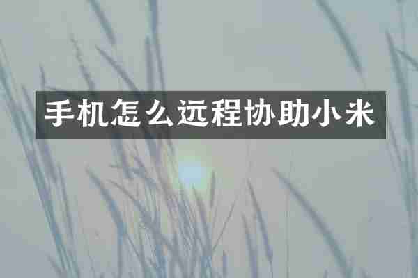 手机怎么远程协助小米
