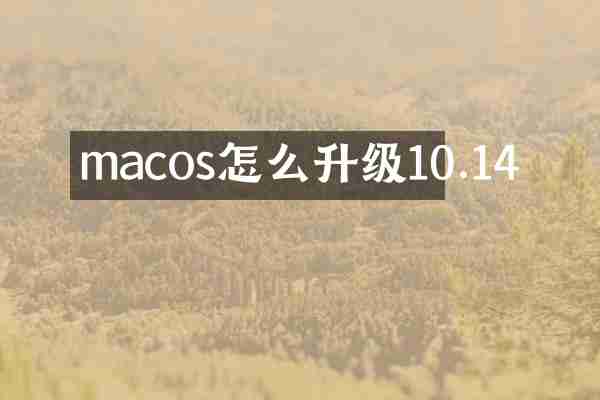 macos怎么升级10.14