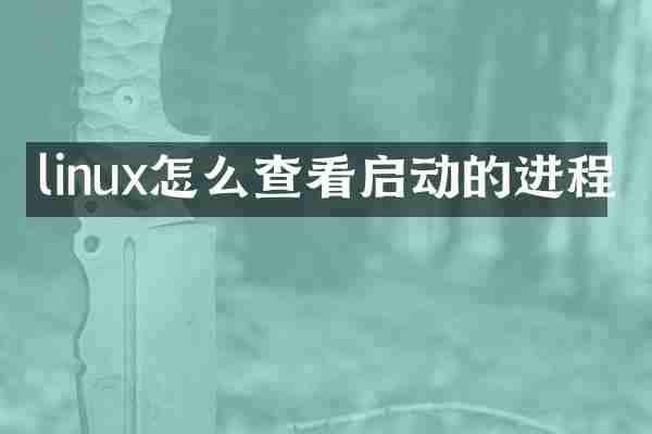 linux怎么查看启动的进程