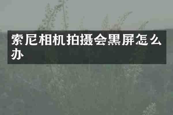 相机拍摄会黑屏怎么办