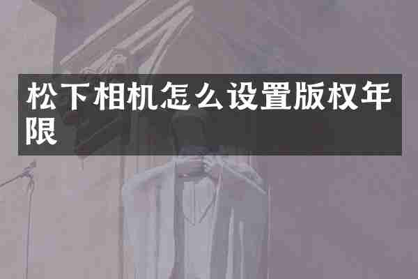 松下相机怎么设置版权年限