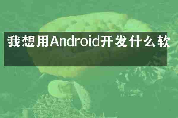 我想用Android开发什么软件