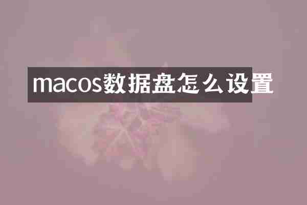 macos数据盘怎么设置