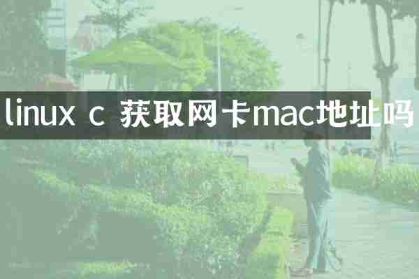 linux c 获取网卡mac地址吗