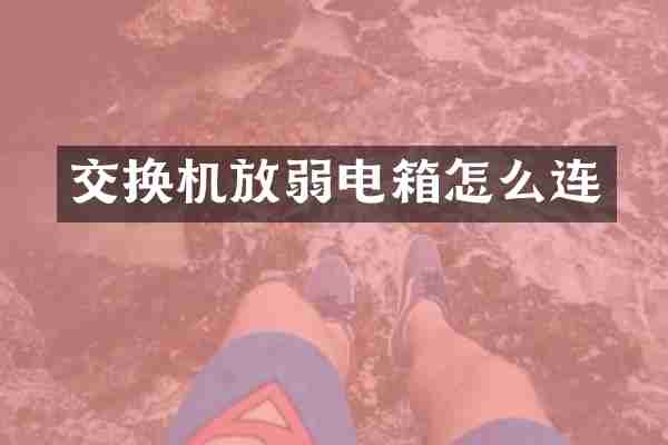 交换机放弱电箱怎么连