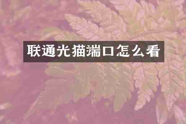 联通光猫端口怎么看