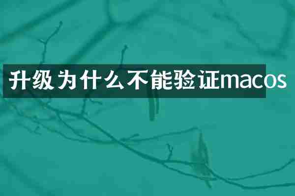 升级为什么不能验证macos