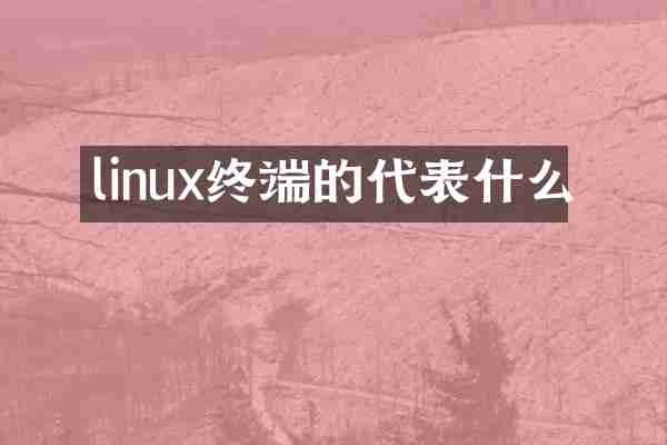 linux终端的代表什么