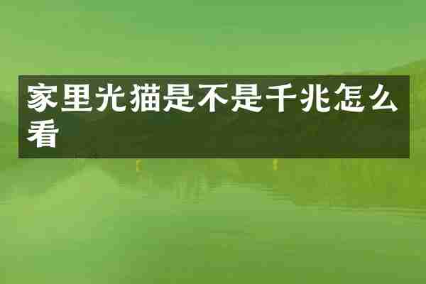 家里光猫是不是千兆怎么看