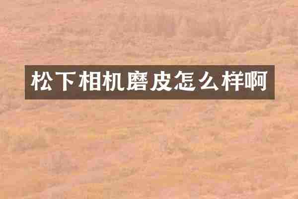 松下相机磨皮怎么样啊