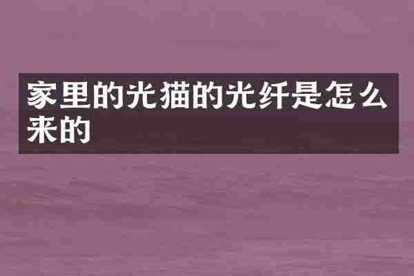 家里的光猫的光纤是怎么来的