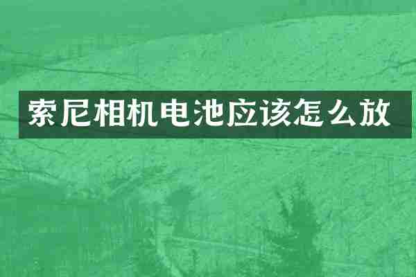 索尼相机电池应该怎么放