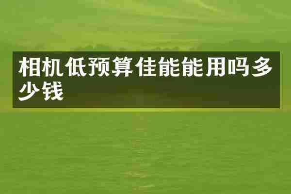相机低预算佳能能用吗多少钱