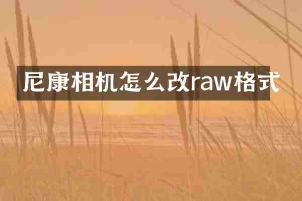 尼康相机怎么改raw格式