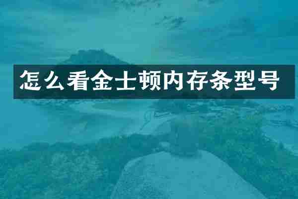 怎么看金士顿内存条型号