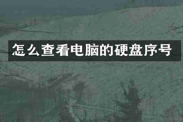 怎么查看电脑的硬盘序号