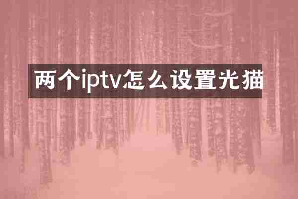 两个iptv怎么设置光猫