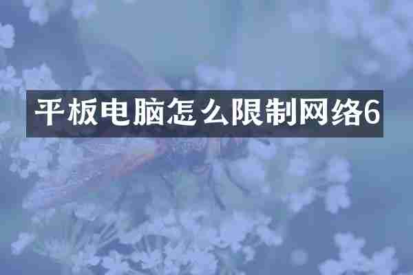 平板电脑怎么限制网络6