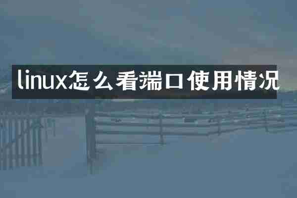 linux怎么看端口使用情况