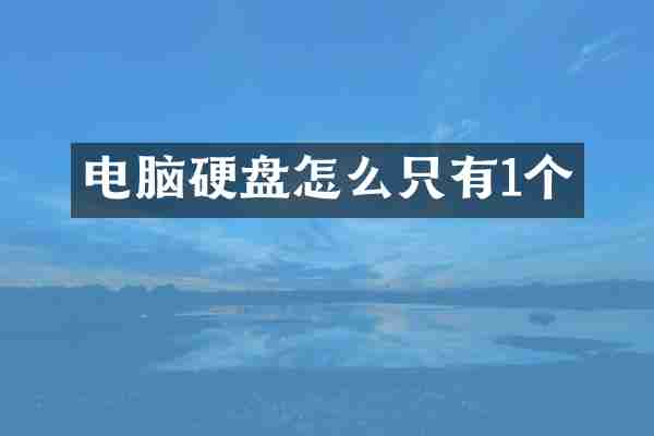 电脑硬盘怎么只有1个