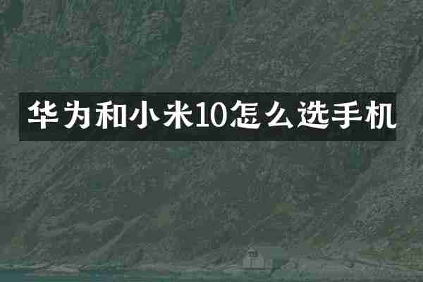 华为和小米10怎么选手机