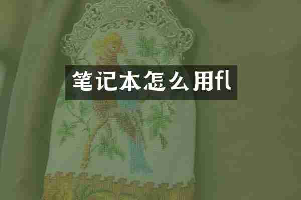 笔记本怎么用fl