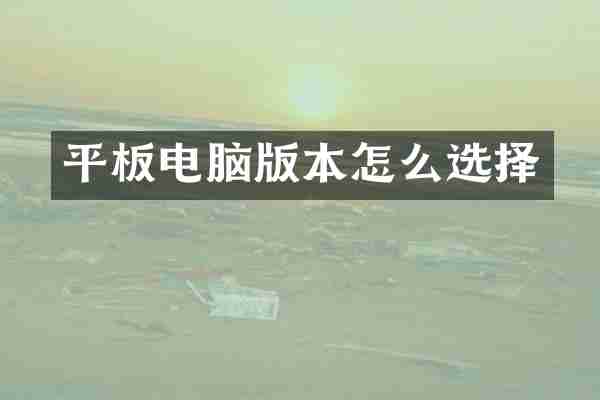 平板电脑版本怎么选择