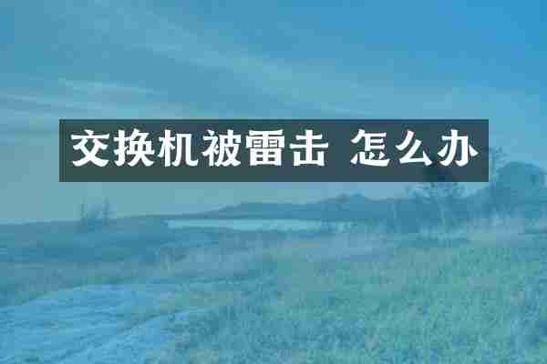 交换机被雷击 怎么办