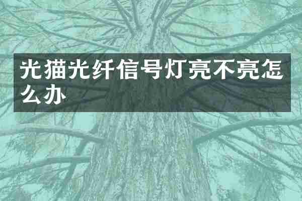 光猫光纤信号灯亮不亮怎么办