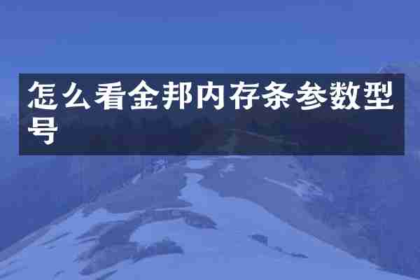 怎么看金邦内存条参数型号