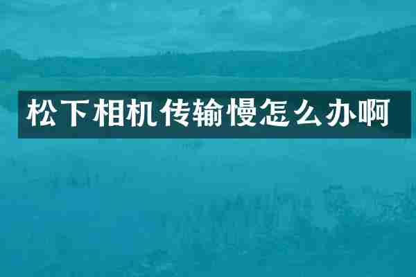 松下相机传输慢怎么办啊