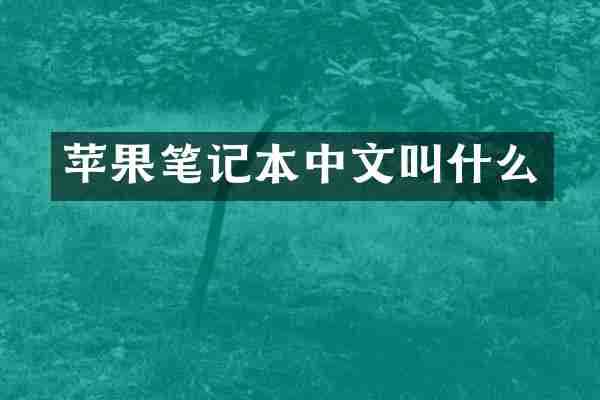 苹果笔记本中文叫什么