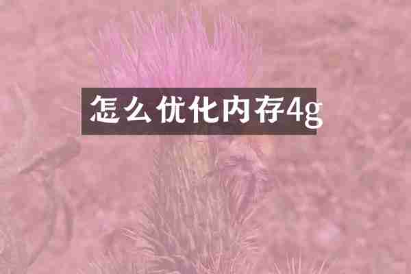 怎么优化内存4g