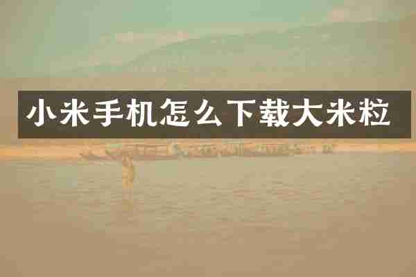 小米手机怎么下载大米粒