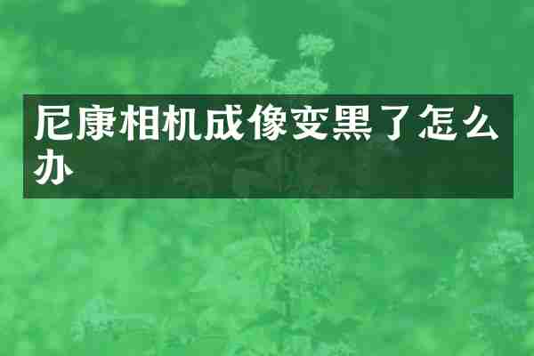 尼康相机成像变黑了怎么办