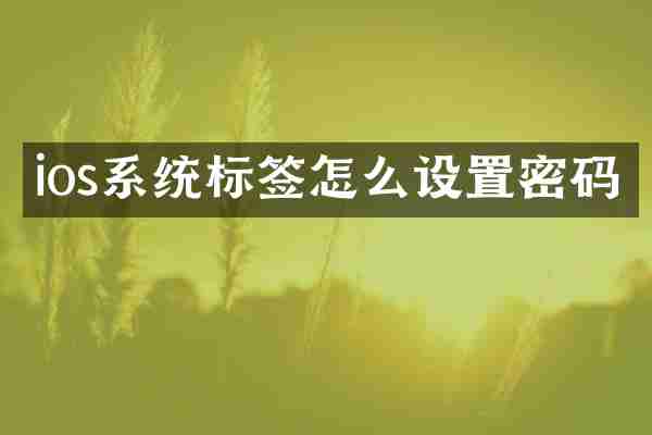 ios系统标签怎么设置密码