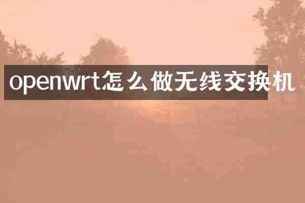 openwrt怎么做无线交换机