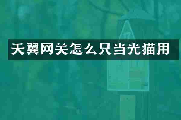 天翼网关怎么只当光猫用