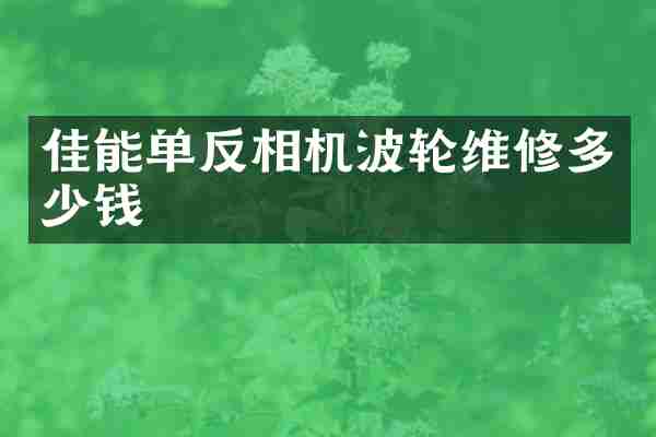 佳能单反相机波轮维修多少钱