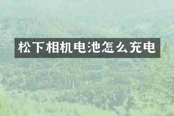 松下相机电池怎么充电