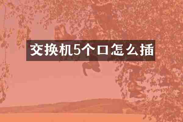 交换机5个口怎么插