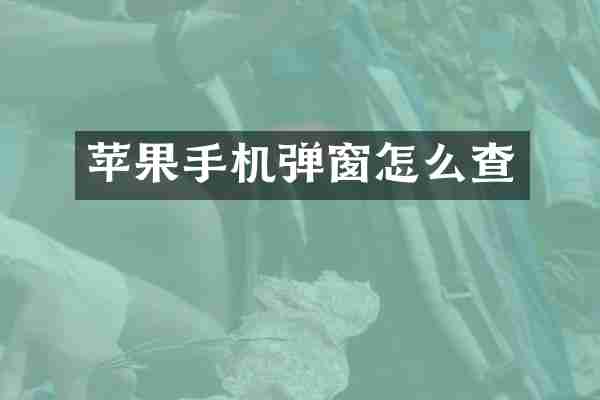 苹果手机弹窗怎么查